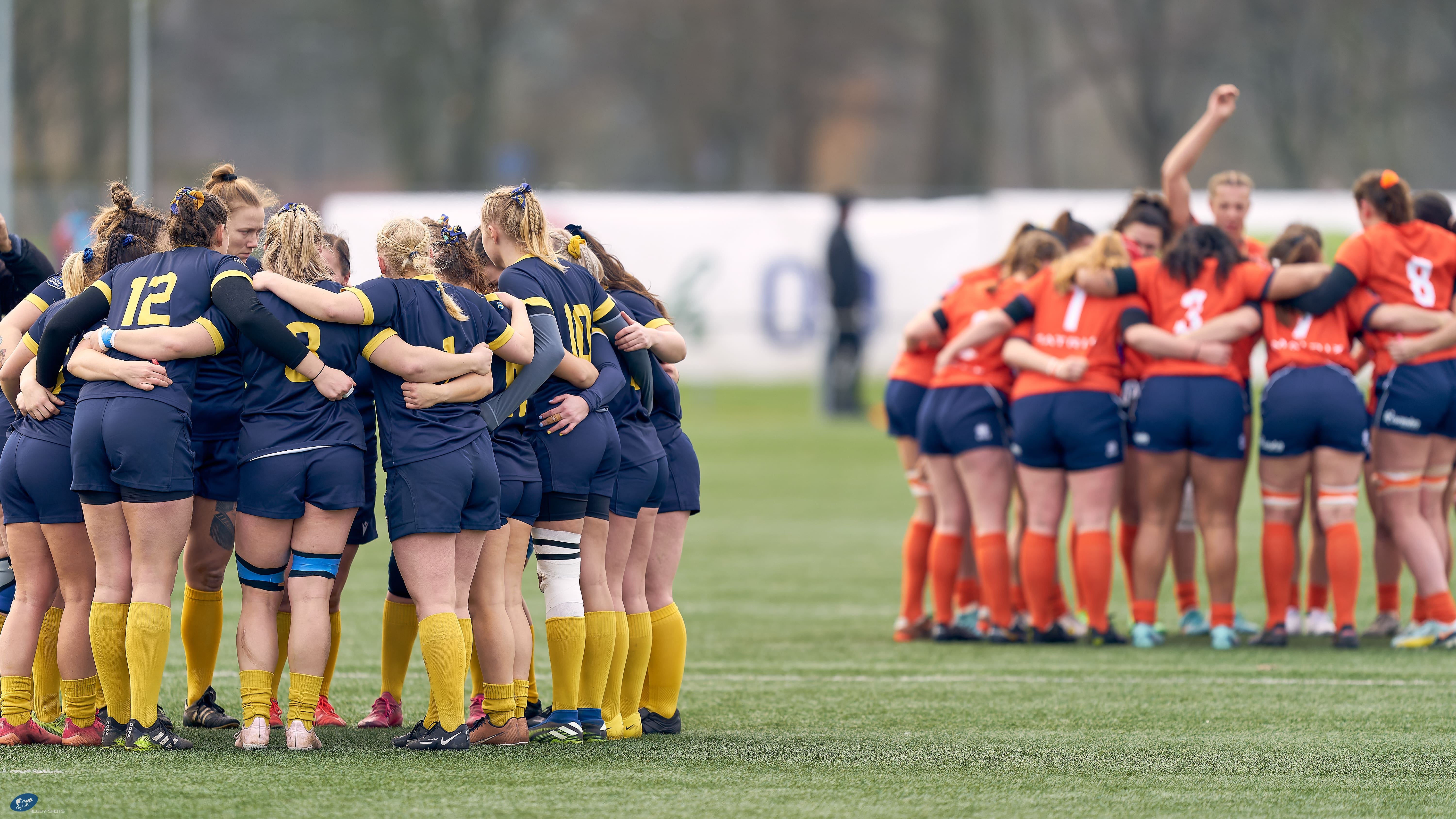 Sweden v Netherlands 