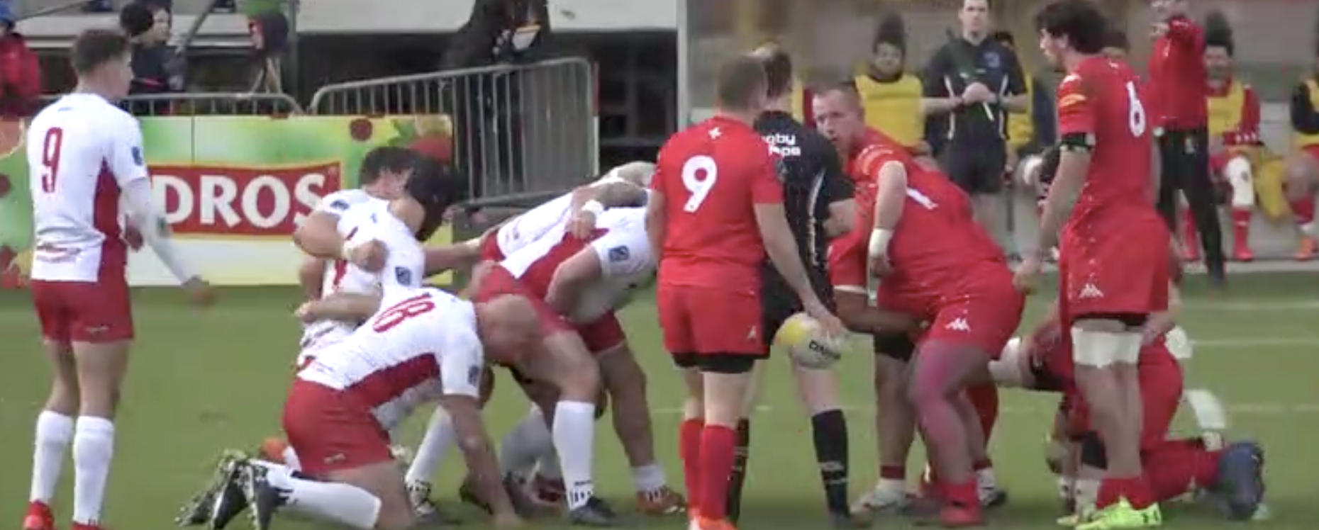 Poland v Switzerland