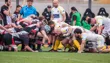 Scrum